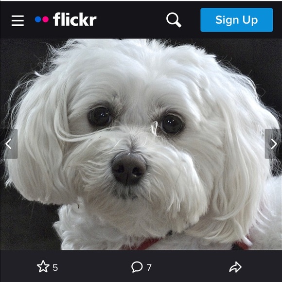 Meet your Posher, Teresa - Picture 1 of 1